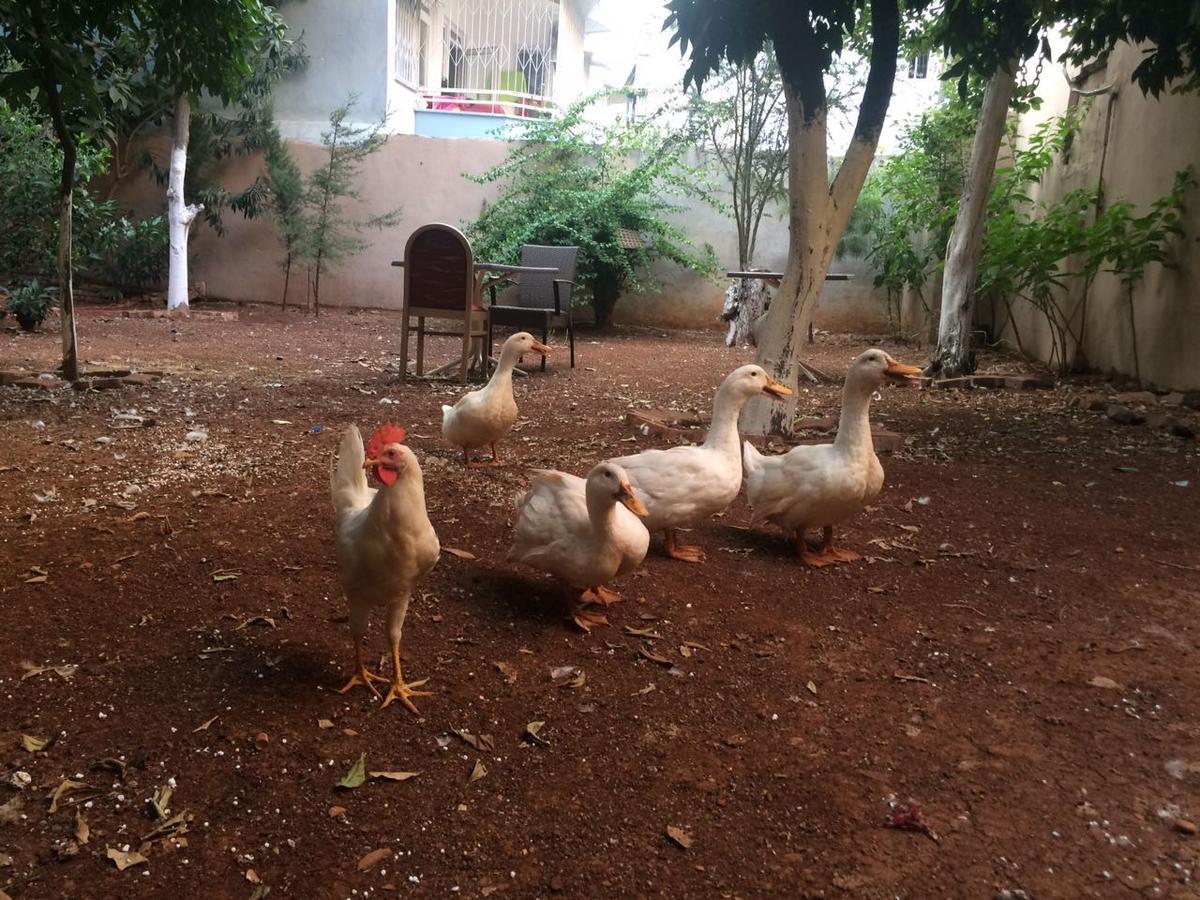 Uyar Palace Antalya Kültér fotó